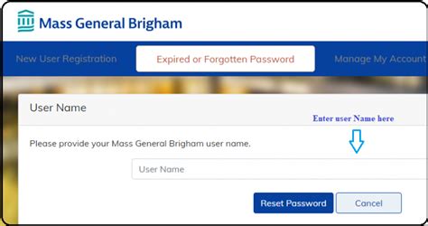 mass general brigham login